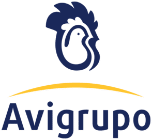 Avigrupo